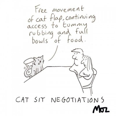 Cat Sit Negotiations.jpg